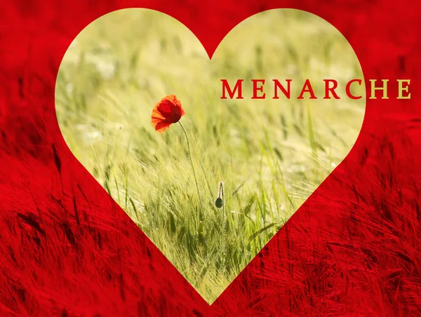 Kırmızı haşhaş. Kırmızı bir kalp tarafından çerçevelenmiş. Üzerinde yazı menarşisi var.