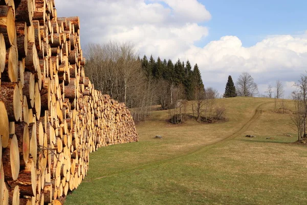 Kırsal kesimlerde istiflenmiş uzun bir kereste kuyruğu