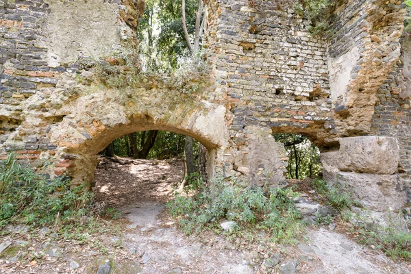 Castillo en ruinas en un bosque —  Fotos de Stock