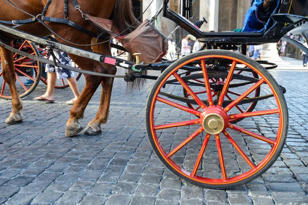 Transport för turister — Stockfoto