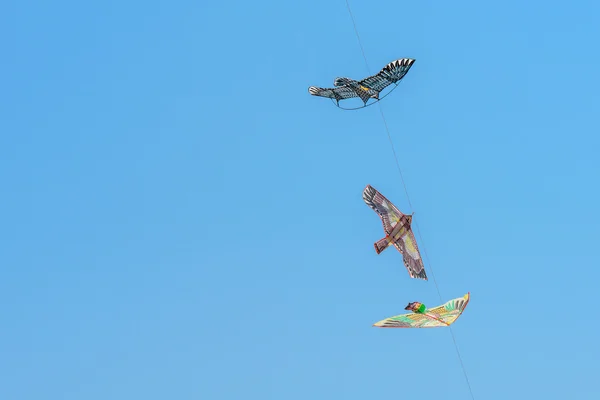 Vliegers in de lucht — Stockfoto