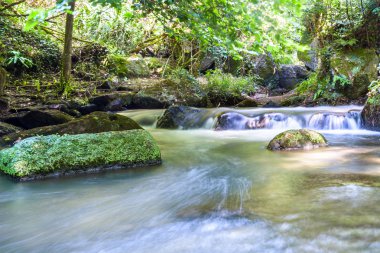 şelale Monte gelato İtalya