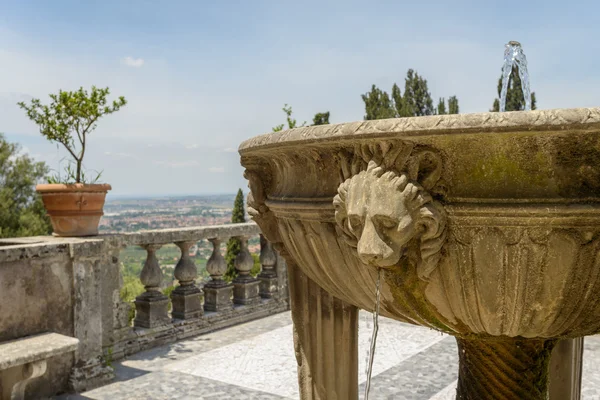 Fountain with lions Stock Image