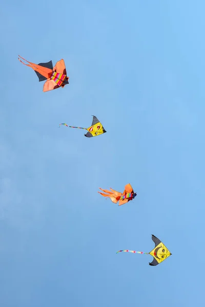 Färgglada Drakar Flyger Den Blå Himlen — Stockfoto