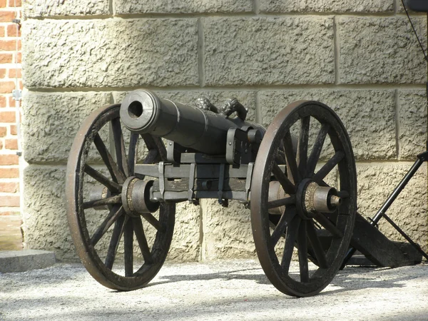 Old Cannon — Stock Photo, Image