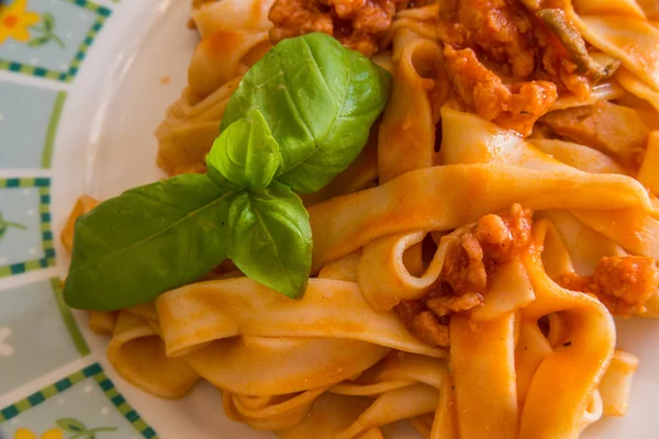 Fettuccine plate 1 — Stock Photo, Image