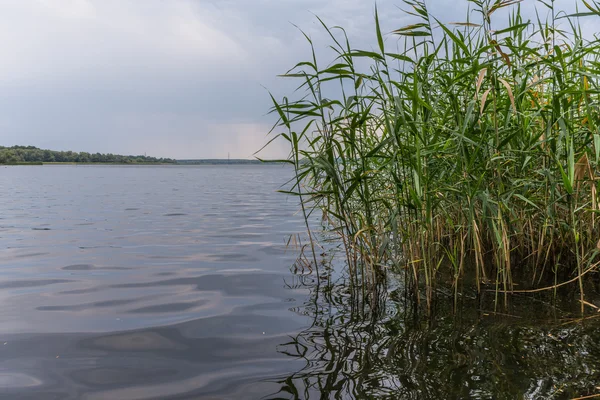 Jezero — Stock fotografie