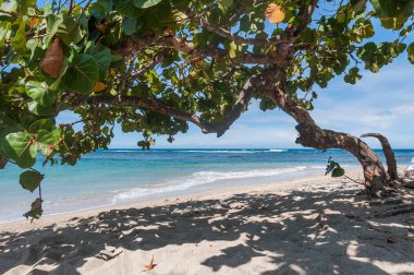 Puerto Plata