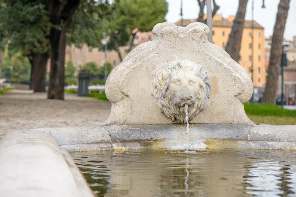 The lion Fountain — Stock Photo, Image