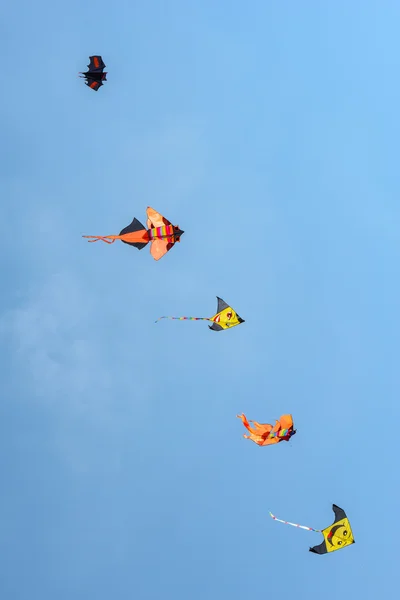 Aquiloni sul cielo blu — Foto Stock