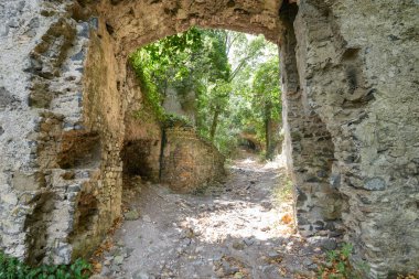 yıkık kalede bir ahşap