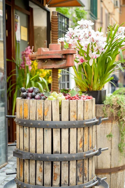 Weinpresse mit Blume — Stockfoto
