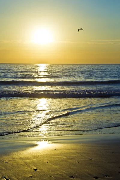 Lever de soleil sur l'océan — Photo