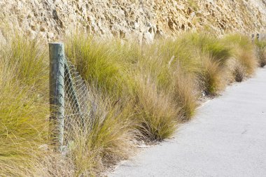 Bir çimento yolu kuru ot