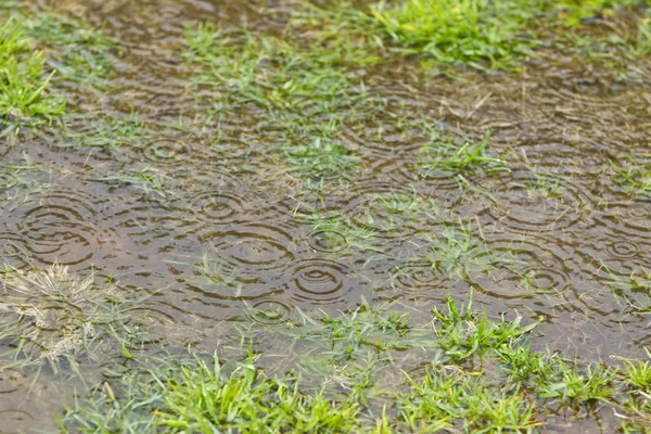 雨の水しぶきや水たまりの原因と草のパッチに ストックフォト