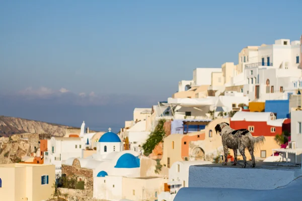 Vista al pueblo de Oia —  Fotos de Stock