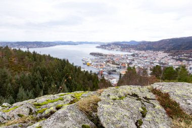 Ön planda, Bergen 'in bulanık zeminine, fiyortlarına ve ormanlık tepelere, yumuşak atmosfer derinliğine ve doğal İskandinav havasına sahip yosun kaplı kayalar. Boşluğu kopyala