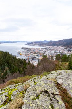 Arka planda Bergen 'i, fiyortlarını ve ormanlık tepeleri, sakin İskandinav atmosferini gösteren yosun kaplı kayaların dikey yakın çekimi. Boşluğu kopyala