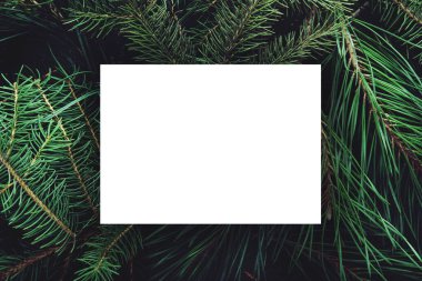 Yeşil ağaç dallarının, Noel 'in ve bayram sezonu fikrinin ortasında beyaz kartlı tatil arkaplanı, minimalist tasarım. Yeni yıl kavramı, kart, pankart