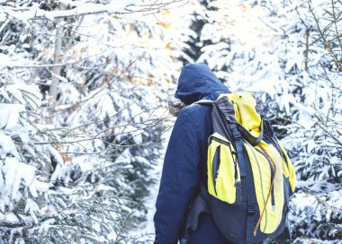 Kış ormanlarında yürü. Kış boyunca ormanda ağaçların arasında kar üzerinde yürüyen bir adamın dikiz görüntüsü. Kış ormanlarında yürüyen sırt çantalı bir yürüyüşçünün portresi.