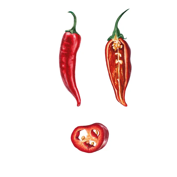 Akvarell chili paprika készlet — Stock Fotó