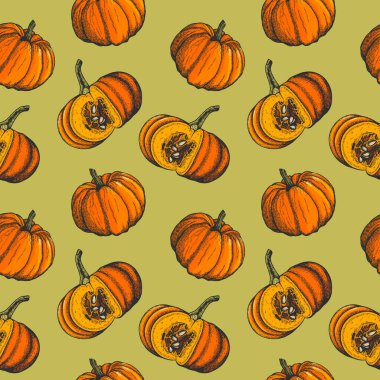 Kabaklarla vektör mürekkebi deseni