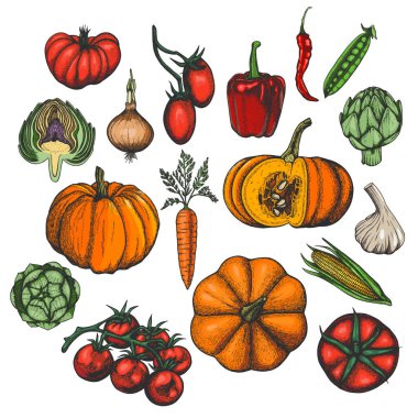 Mürekkep renkli sebzeli vektör seti