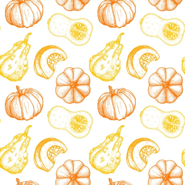 Modèle Vectoriel Avec Pampkins Orange Encre — Image vectorielle