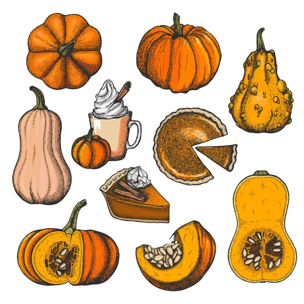Vector Ink Set Pumpkins Pumpkin Desserts — Stock Vector