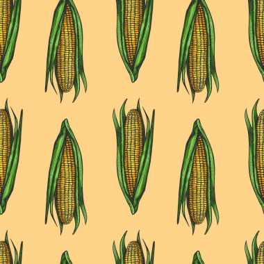Sarı zemin üzerinde mısır olan vektör mürekkepsiz desen 