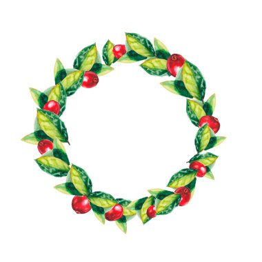 suluboya yapraklar ve rasbarry çelenk