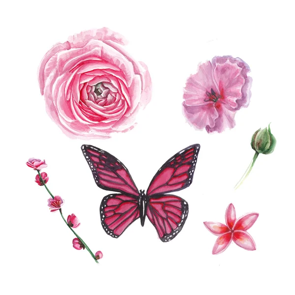 수채화 핑크 꽃 세트 — 스톡 사진