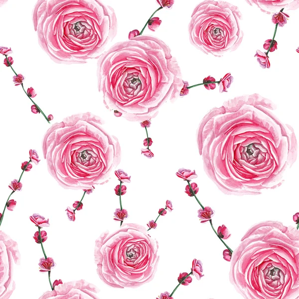 Watercolor rose and brunch pattern — Stock Photo, Image