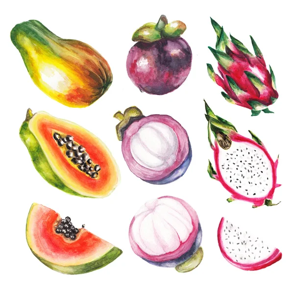 Watercolor exotic fruits set — Stock Photo, Image