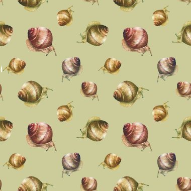 Suluboya salyangoz desen