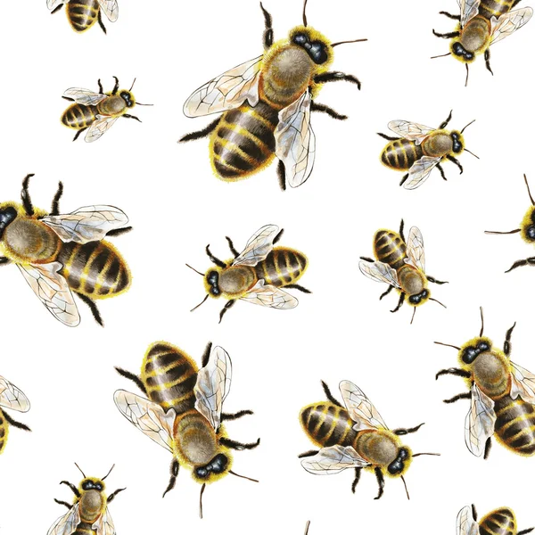 Акварельная пчела — стоковое фото