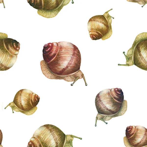Watercolor snails pattern — Stock Photo, Image