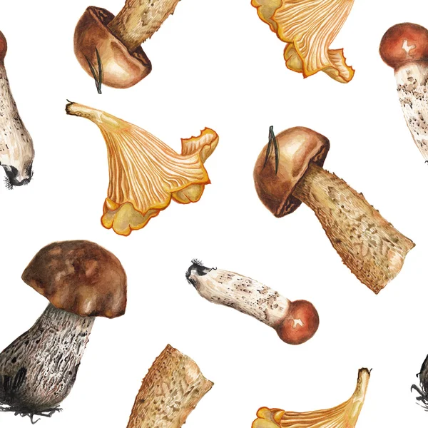 Vzorek akvarel houby — Stock fotografie
