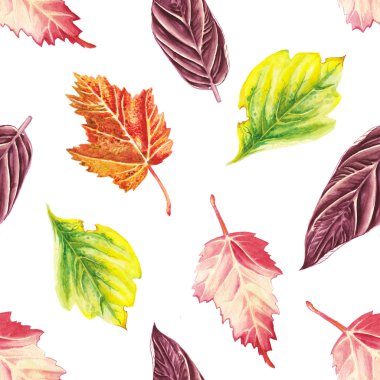 Desen suluboya sonbahar yaprakları