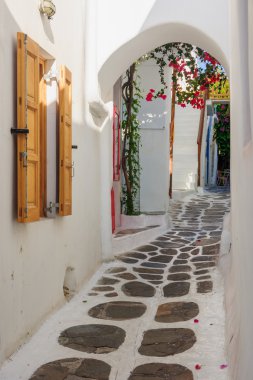 Mikonos tipik Yunan evleri ile sokak