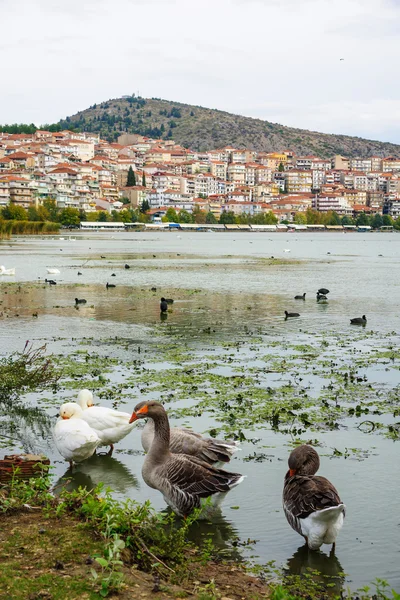 Kastoria, med ankor och sjön — Stockfoto