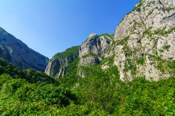 Moraca Fluss und Schlucht — Stockfoto