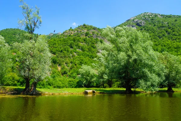 Rijeka Crnojevica, Skadarské jezero — Stock fotografie