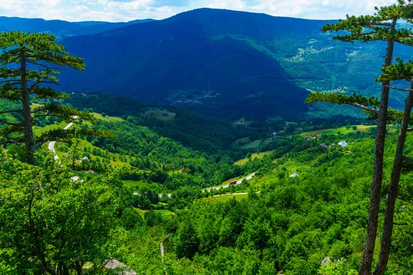 Tara River Canyon — Stock Photo, Image