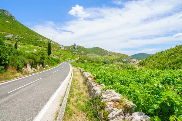 Peljesac Peninsula Landscape — Stock Photo, Image