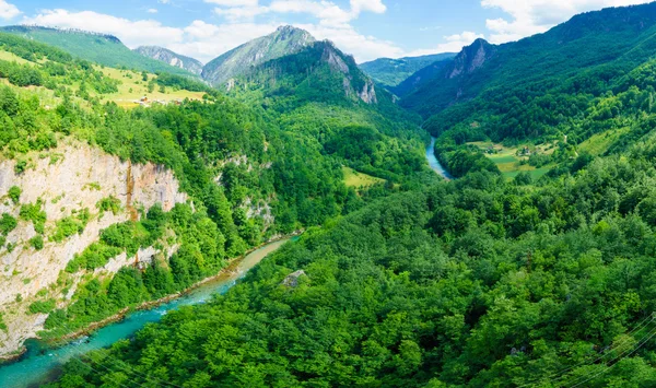 Tara River and Canyon — Stock Photo, Image