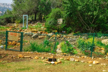 Hashavsheven topluluk Bahçe