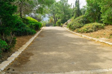 Horshat Hameyasdim (kurucuları Grove)