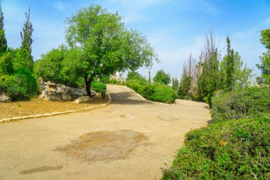 Horshat Hameyasdim (kurucuları Grove)
