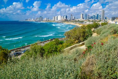 Plaj ve manzarası Tel-Aviv görünümü